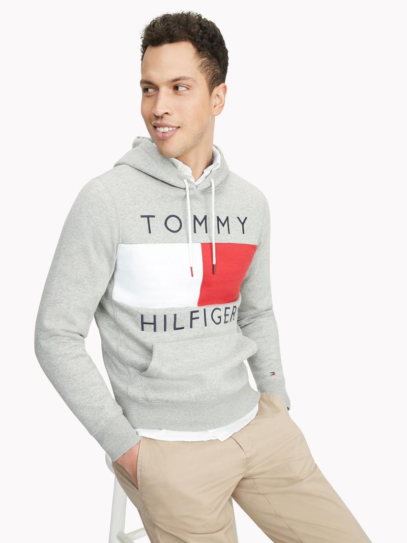 Férfi Tommy Hilfiger Essential Logo Hoodies Szürke | HU 1223SGL